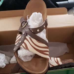 Betula slip on